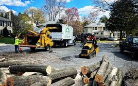 Best Grass Overseeding  in Bluff City, TN